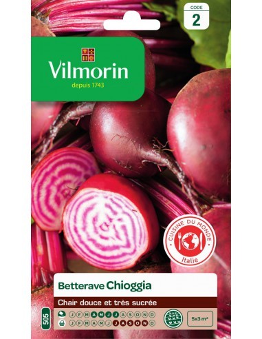 Betterave rouge Chioggia- Vilmorin Vilmorin Graines du potager