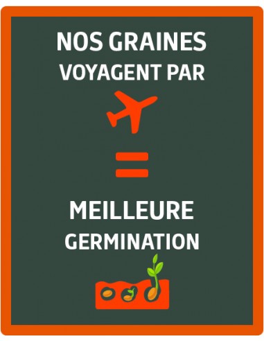 Camomille - Vilmorin Vilmorin Graines aromatique