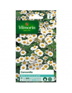 Camomille - Vilmorin Vilmorin Graines aromatique