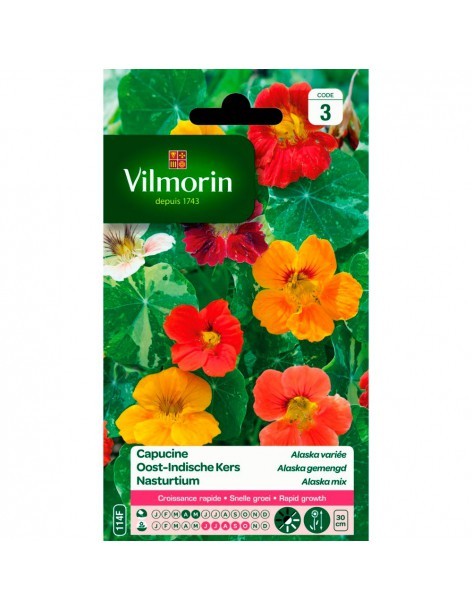Capucine Alaska variée - Vilmorin Vilmorin Graines de plante fleurie