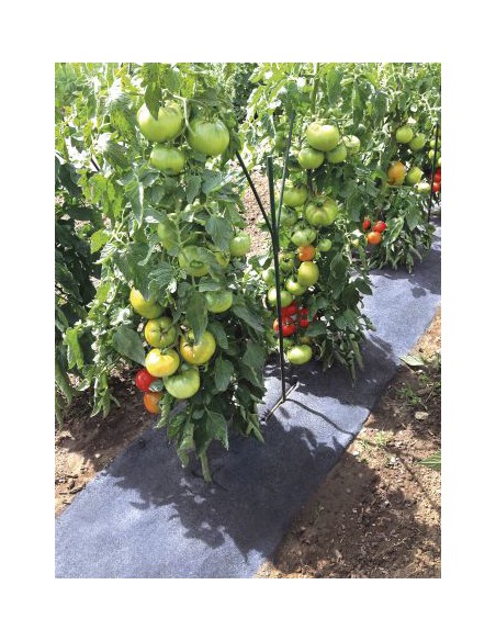 Film pré-percés fraises/tomates - 5 x 0.6 m  Film, toile de paillage et nappe anti-herbe