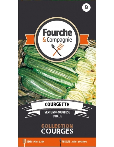 Courgette verte non-coureuse d'Italie - Fourche & Compagnie Fourche et Compagnie Graines du potager