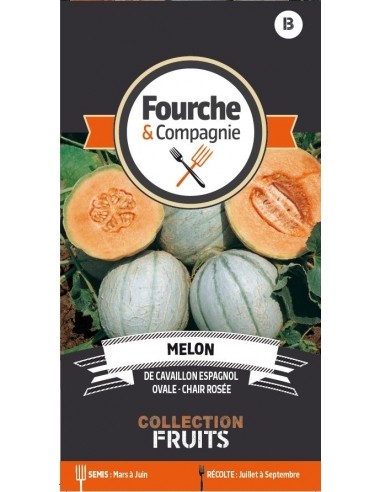 Melon de Cavaillon Espagnol - Fourche & Compagnie Fourche et Compagnie Graines du potager