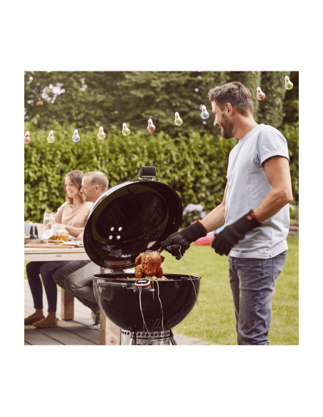 Barbecue Master-Touch - GBS Premium E-5770 - Weber Weber Barbecue