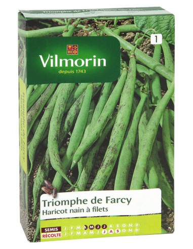 Haricot Vert Triomphe de Farcy - Vilmorin Vilmorin Graines du potager
