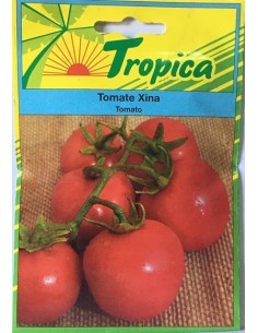 Graines de Tomate Xina - Tropica Tropica Graines du potager