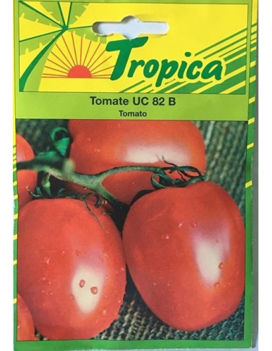 Graines de Tomate UC 82 - Tropica Tropica Graines du potager