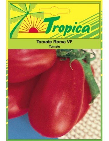 Graines de Tomate Roma - Tropica Tropica Graines du potager