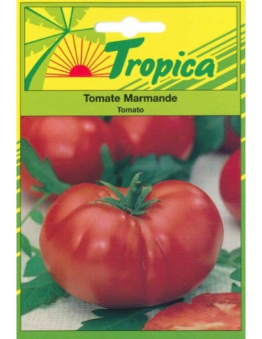 Graines de Tomate Marmande - Tropica Tropica Graines du potager