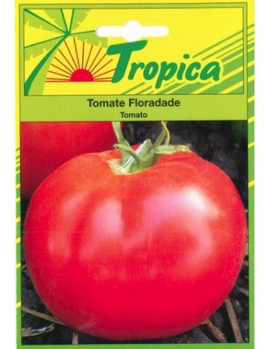 Graines de Tomate Floradade - Tropica Tropica Graines du potager