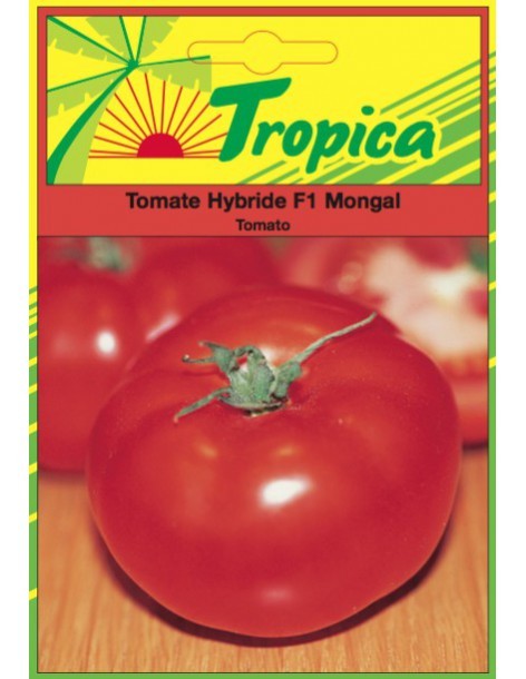 Graines de Tomate Mongal - Tropica Tropica Graines du potager