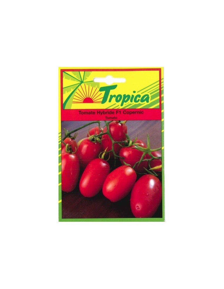 Graines de Tomate Copernic - Tropica Tropica Graines du potager