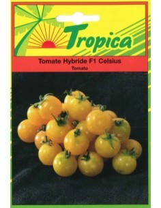 Graines de Tomate Celsius - Tropica Tropica Graines du potager
