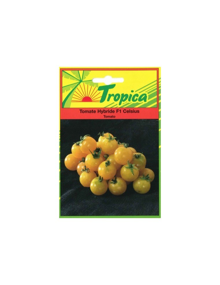 Graines de Tomate Celsius - Tropica Tropica Graines du potager