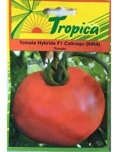 Graines de Tomate Calinago - Tropica Tropica Graines du potager