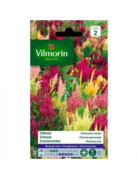 Célosie à Panache Variée - Vilmorin Vilmorin Graines de plante fleurie