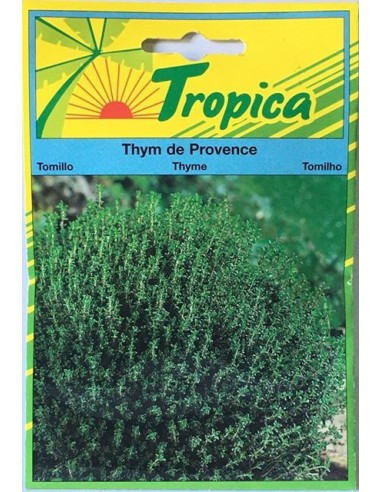Graines de Thym de Provence - Tropica Tropica Graines aromatiques
