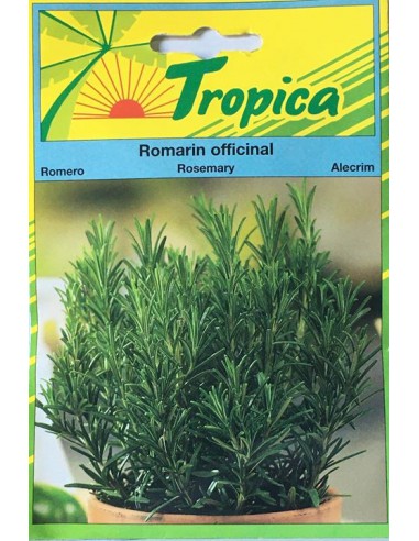 Graines de Romarin Officinal - Tropica Tropica Graines aromatiques