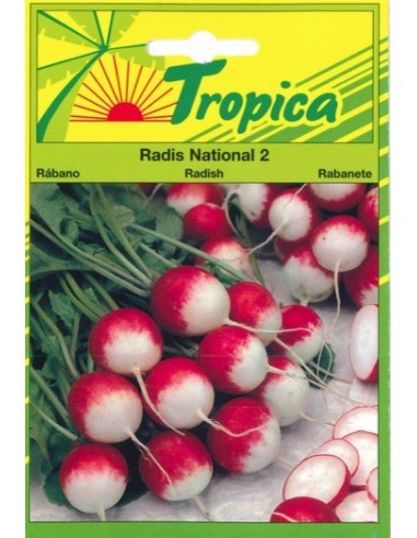 Graines de Radis National 2 - Tropica Tropica Graines du potager