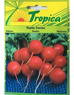 Graines de Radis Cerise -Tropica Tropica Graines du potager