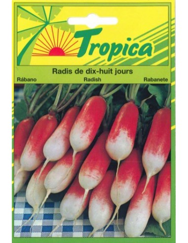 Graines de Radis de 18 Jours - Tropica Tropica Graines du potager