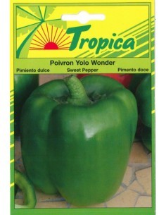 Graines de Poivron Yolo Wonder - Tropica Tropica Graines du potager