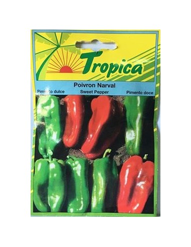 Graines de Poivron Narval - Tropica Tropica Graines du potager