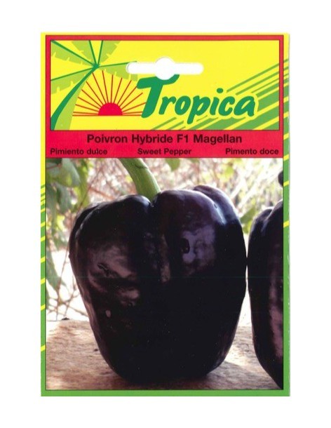 Graines de Poivron Magellan - Tropica Tropica Graines du potager