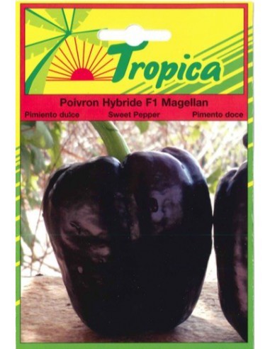 Graines de Poivron Magellan - Tropica Tropica Graines du potager