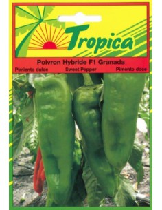 Graines de Poivron Granada - Tropica Tropica Graines du potager