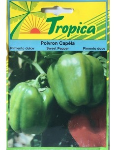 Graines de Poivron Capela - Tropica Tropica Graines du potager