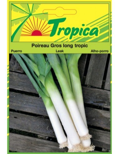 Graines de Poireau Gros Long Tropic - Tropica Tropica Graines du potager