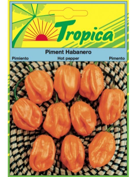 Graines de Piment Habanero - Tropica Tropica Graines du potager