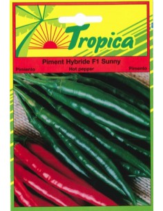 Graines de Piment Sunny - Tropica Tropica Graines du potager