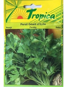 Graines de Persil Géant d'Italie - Tropica Tropica Graines aromatiques