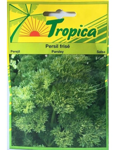 Graines de Persil Frisé - Tropica Tropica Graines aromatiques