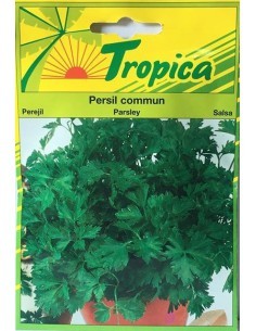 Graines de Persil Commun - Tropica Tropica Graines aromatiques