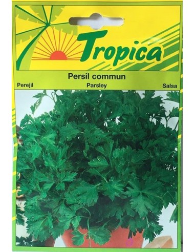 Graines de Persil Commun - Tropica Tropica Graines aromatiques