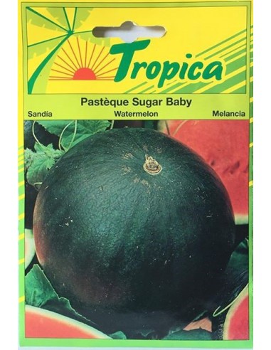 Graines de Pastèque Sugar Baby Tropica Graines du potager