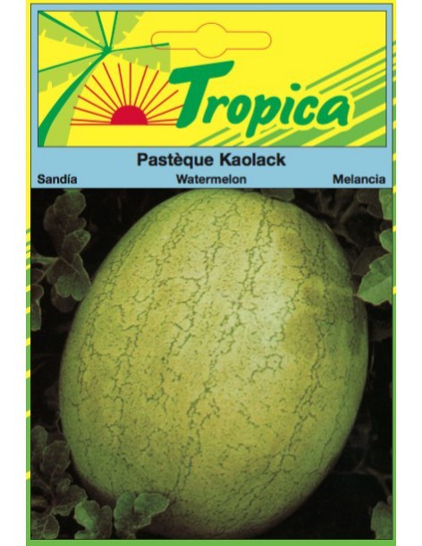 Graines de Pastèque Kaolack - Tropica Tropica Graines du potager