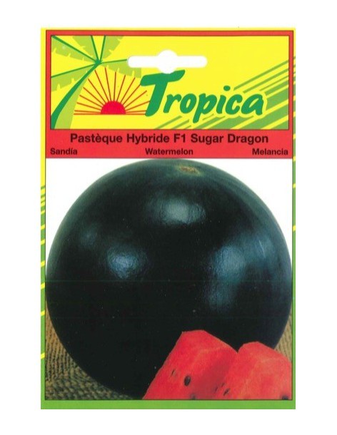 Graines de Pastèque Sugar Dragon - Tropica Tropica Graines du potager