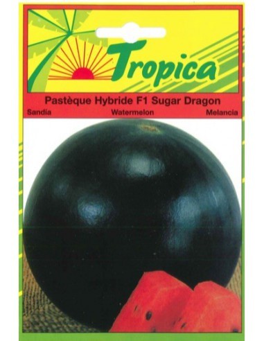 Graines de Pastèque Sugar Dragon - Tropica Tropica Graines du potager