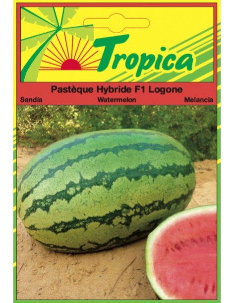 Graines de Pastèque Logone - Tropica Tropica Graines du potager