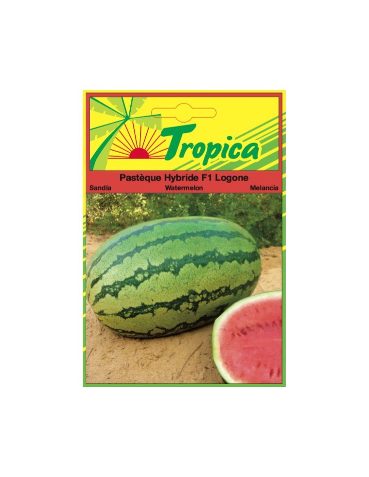 Graines de Pastèque Logone - Tropica Tropica Graines du potager