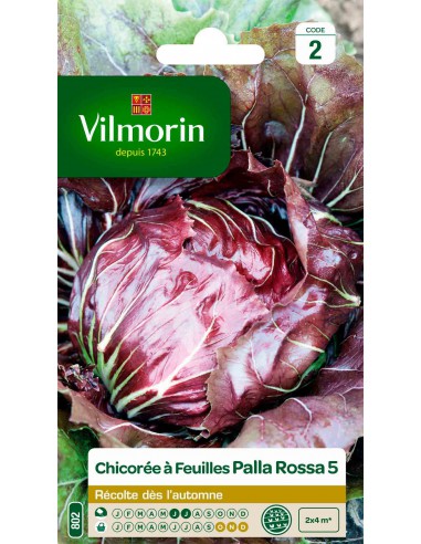 Chicorée Sauvage à Feuilles Chiogga Palla Rossa - Vilmorin Vilmorin Graines du potager