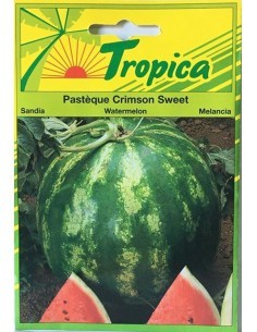 Graines de Pastèque Crimson Sweet - Tropica Tropica Graines du potager