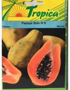 Graines de Papaye Solo - Tropica Tropica Graines du potager
