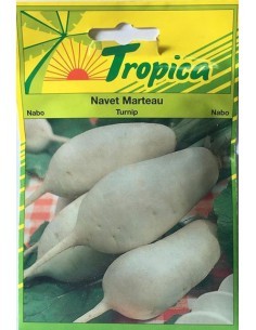 Graines de Navet Marteau - Tropica Tropica Graines du potager