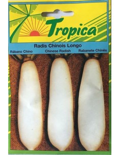 Graines de Radis Chinois Longo - Tropica Tropica Graines du potager