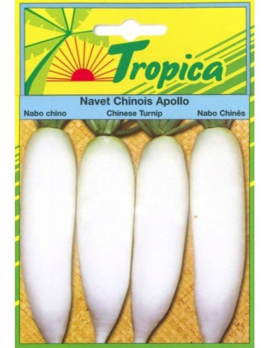 Graines de Navet Chinois Apollo - Tropica Tropica Graines du potager